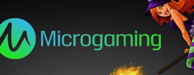 Лучшие слоты производителя Микрогейминг бесплатно